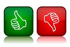 Feedback